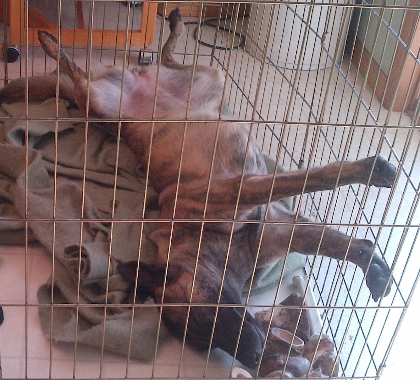 img-20120327-00161.jpg