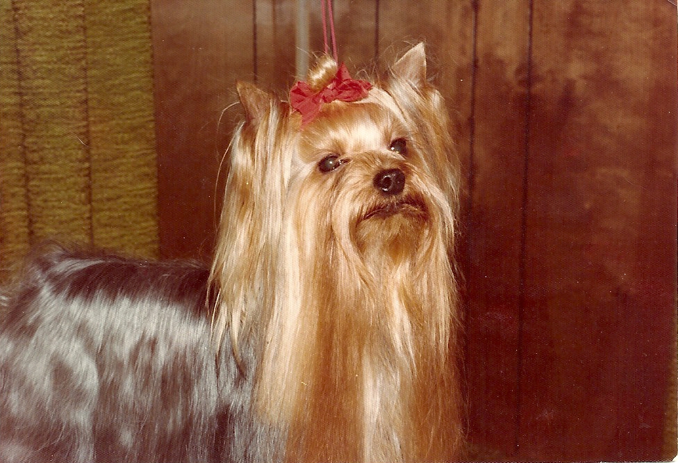 scan0002.jpg