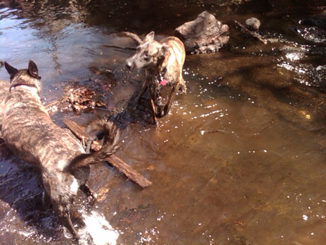 IMG00848-20120419-1219.jpg