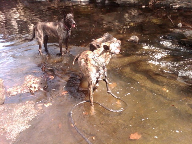 IMG00852-20120419-1221.jpg
