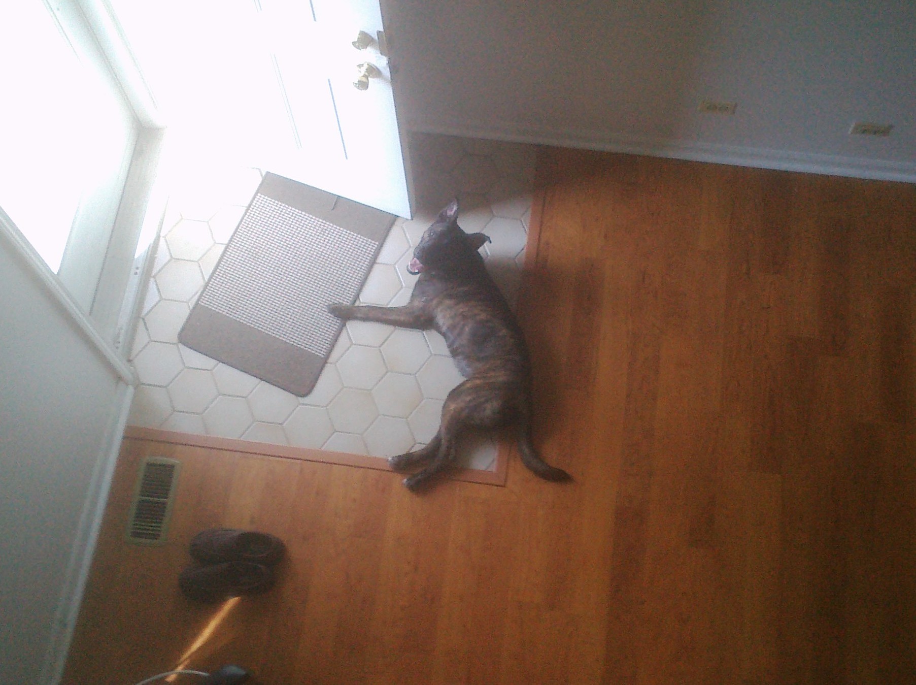 Dreaming of being outside!