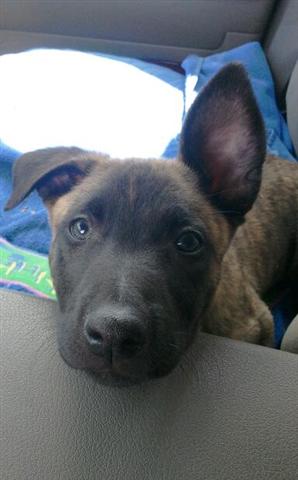 hank 5 (Small).jpg