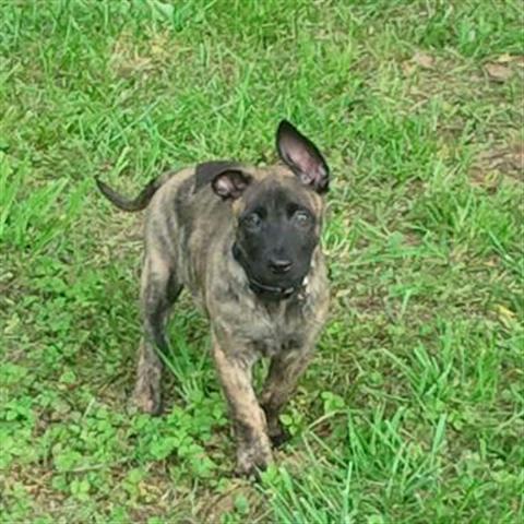 Hank 7 (Small).jpg