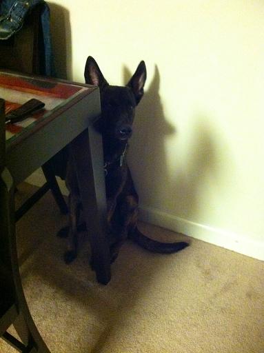 hiding again
