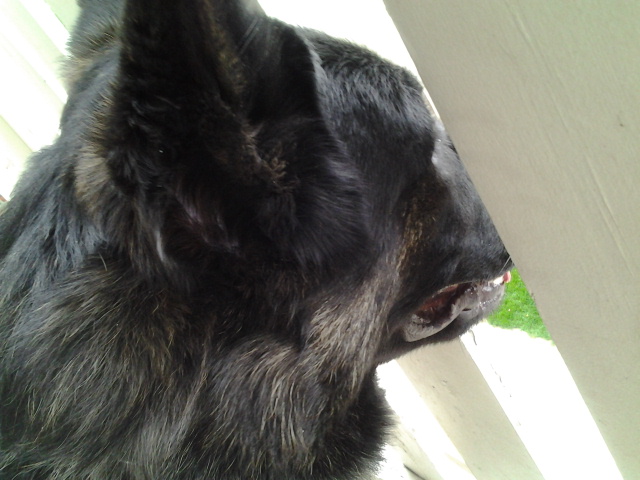 2012-05-16 17.37.50.jpg