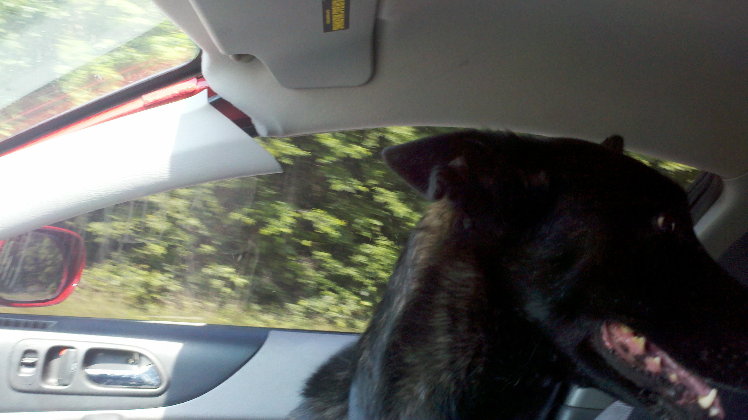 2012-05-26_10-43-33_935.jpg