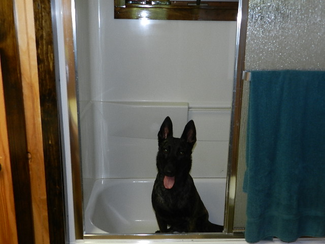 DSCN0099.JPG
