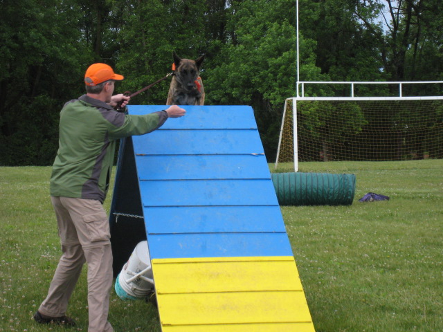 learning agility