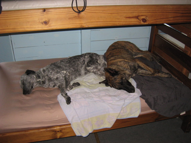 sheer exhaustion