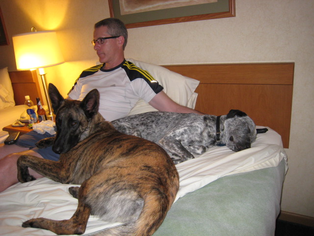 ahhhh, the comforts of a real bed