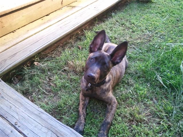Hank 023 (Small).jpg