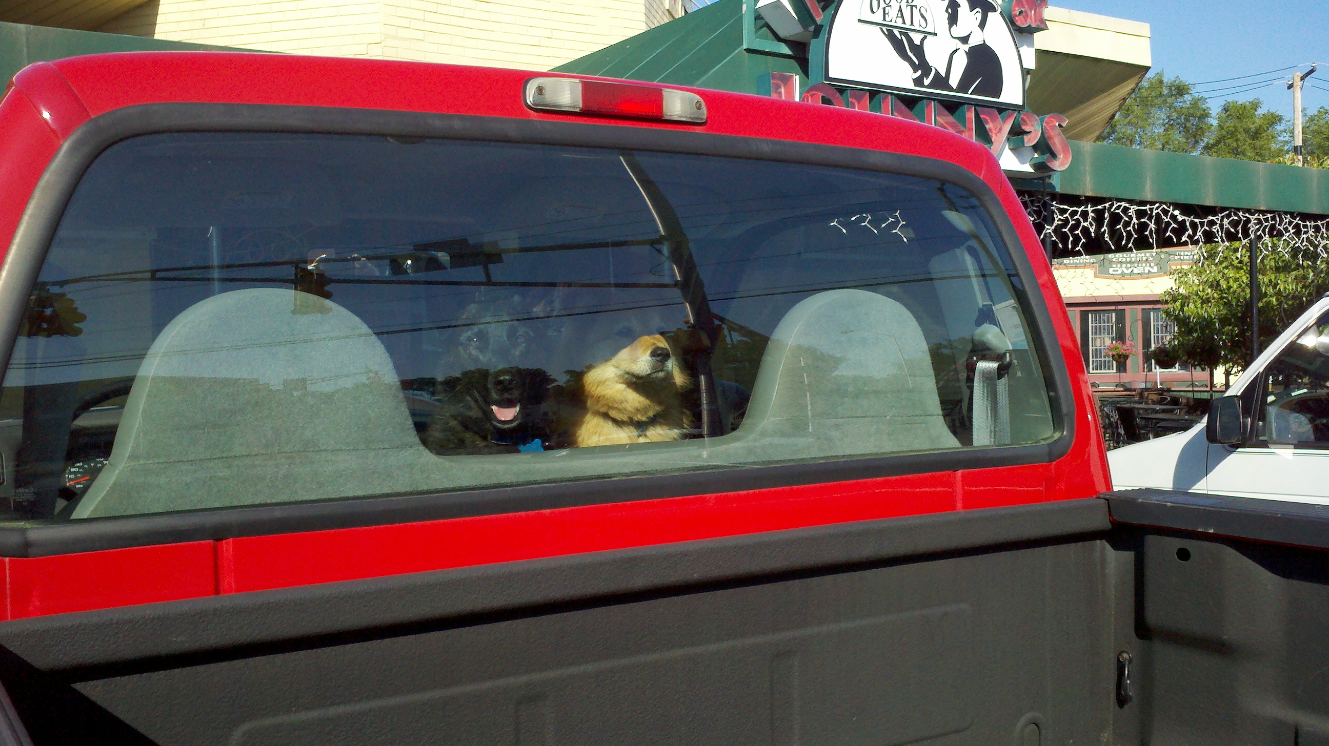 Cino_Abby Truck.jpg