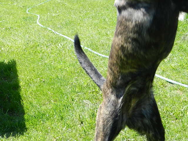 DSCN0077.JPG