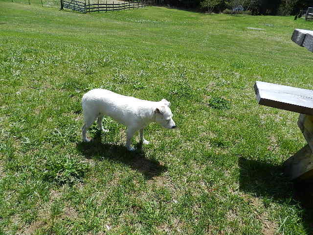 DSCN0063.JPG