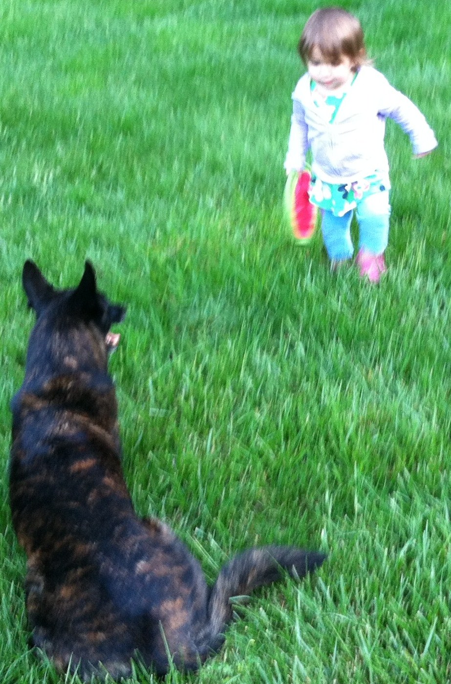 Kali7.JPG