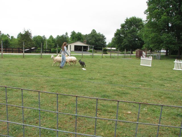IMG_1420.jpg