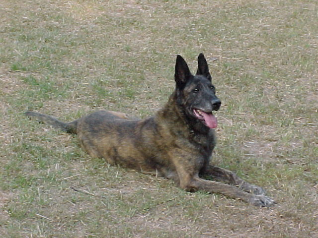 300605 Noble Arras.JPG