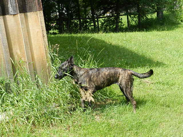 DSCN0185.JPG