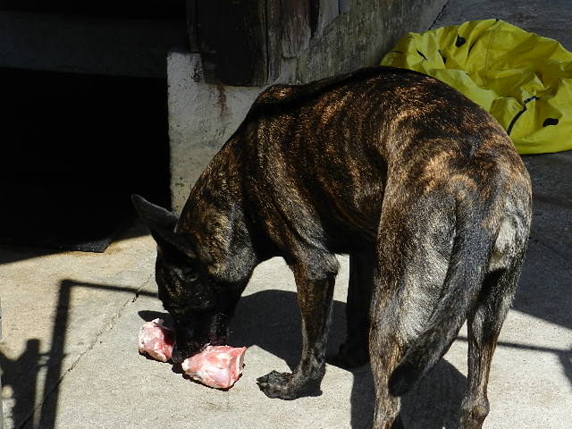 Of course you still gotta eat after all that running around!