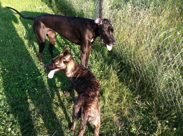 Leo and Cassy