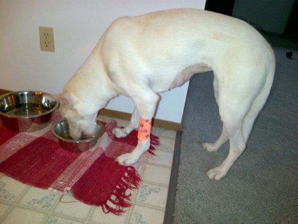 Happy to be eating solid food!