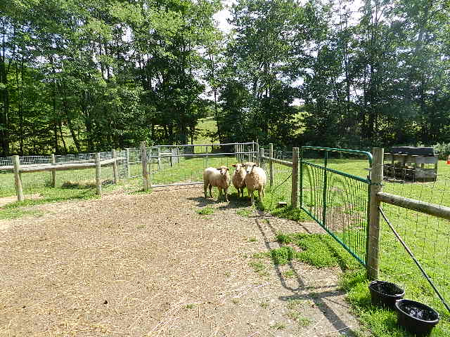 DSCN0240.JPG