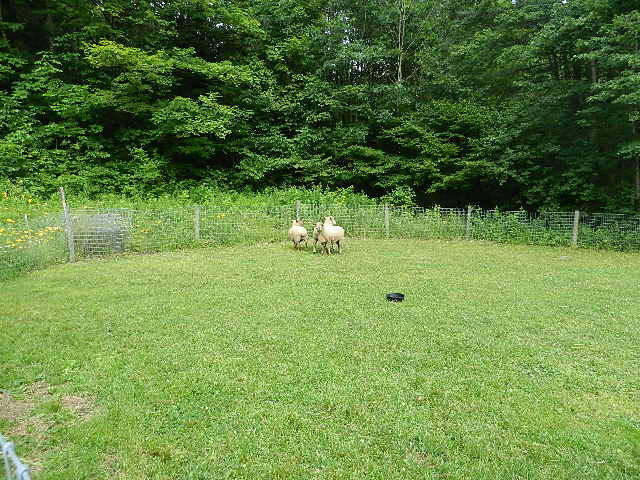 DSCN0241.JPG