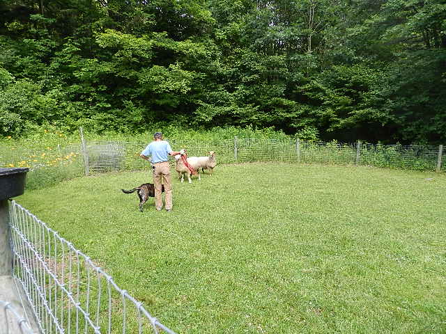 DSCN0242.JPG