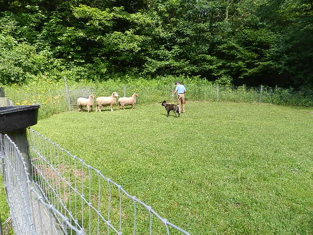 DSCN0243.JPG