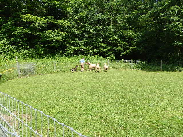 DSCN0244.JPG
