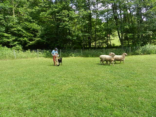 DSCN0245.JPG