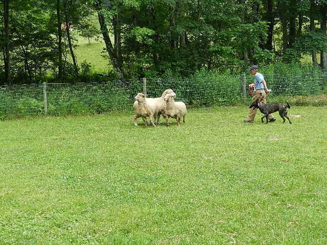 DSCN0247.JPG