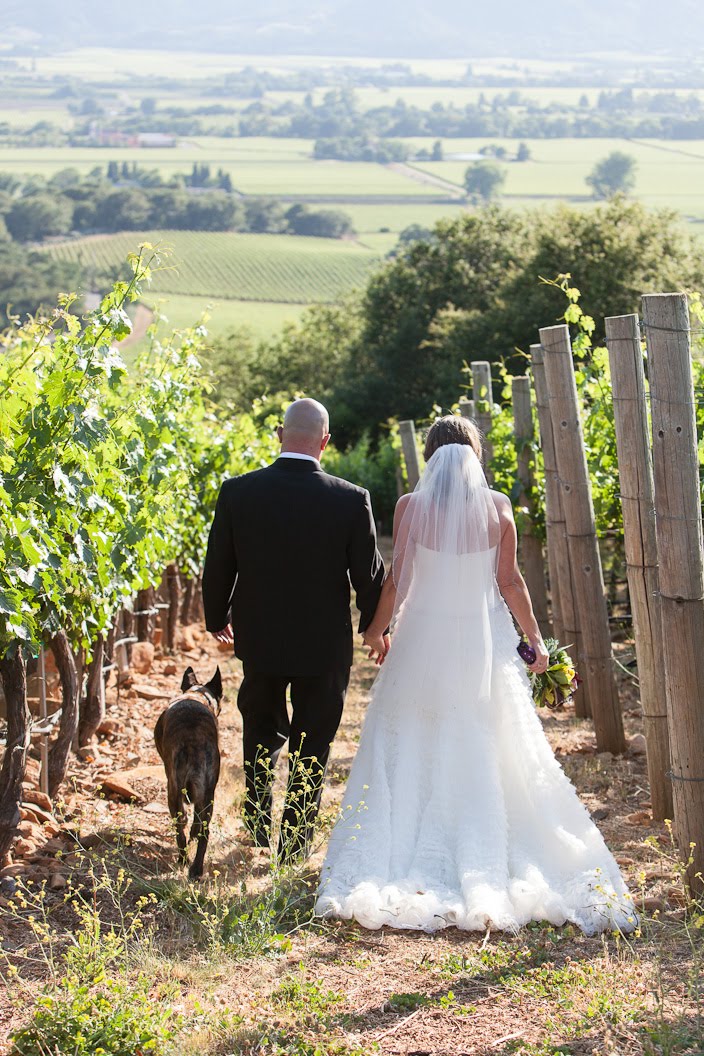Loki in the vineyard with Mom and Dad.jpg