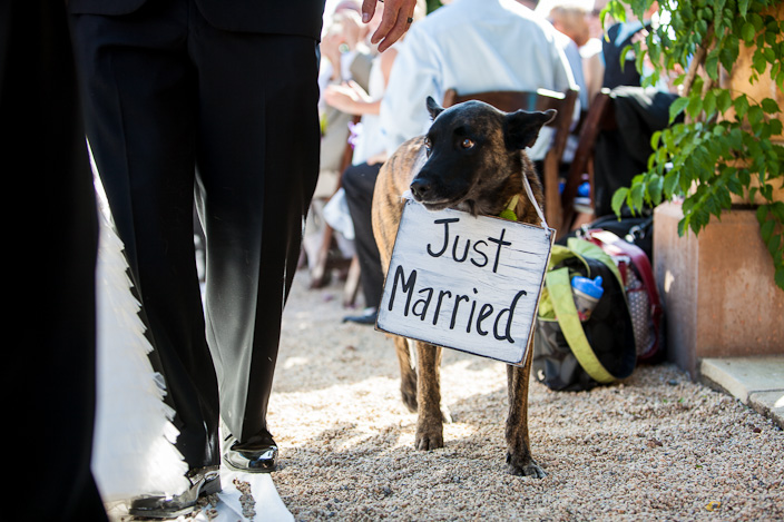 Loki during our wedding recessional.jpg