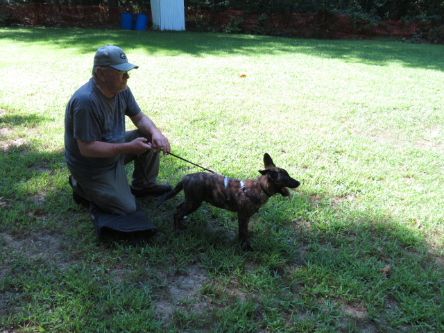 Bob and Samson