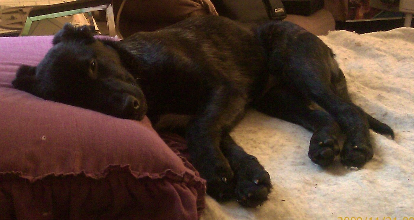 IMAG0116.jpg