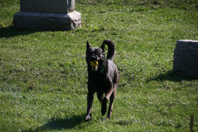 IMG_7861.JPG