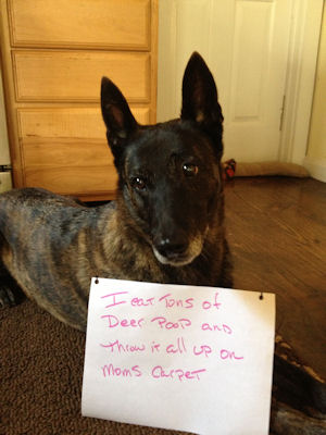 Thalie shaming
