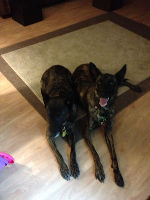 The girls, Thalie on the left, Sadie on the right