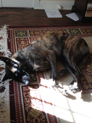 Sadie......when her off switch is working