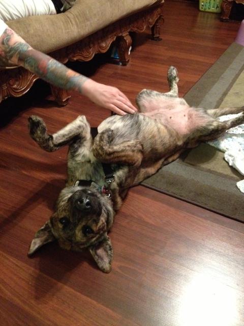stella3.jpg