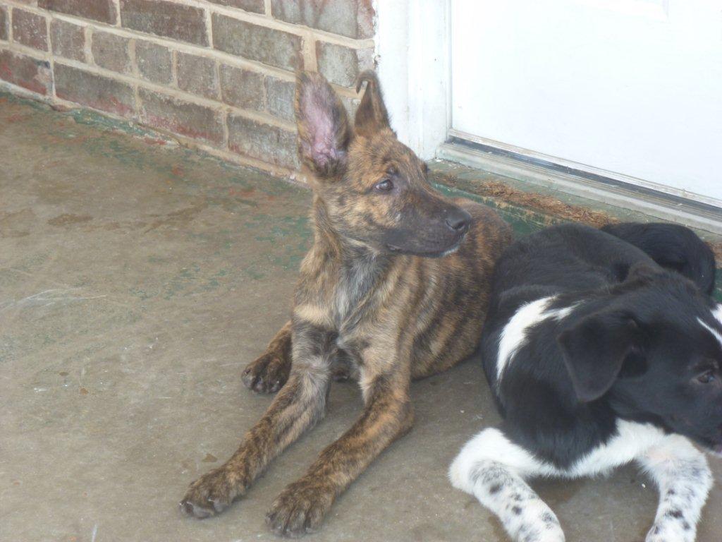 at 4months when rescued
