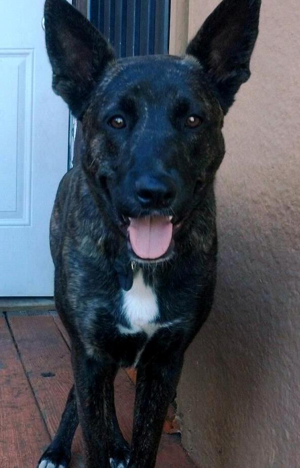 Theo 11-10-12.jpg