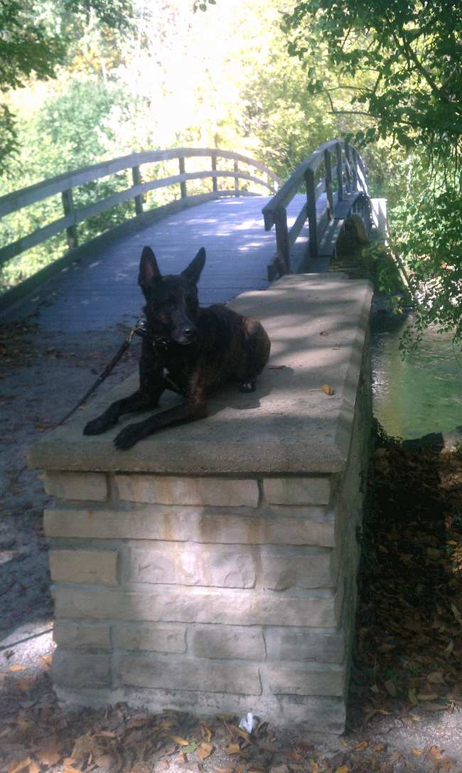 Odin guarding the bridge