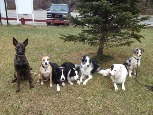 kai and friends dec 2012.JPG