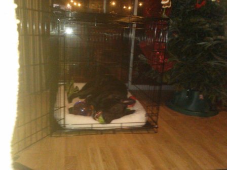Sleeping.jpg