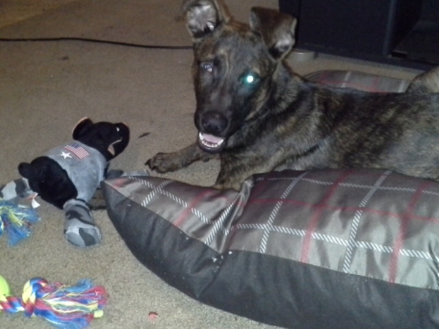 20121220_235847.jpg