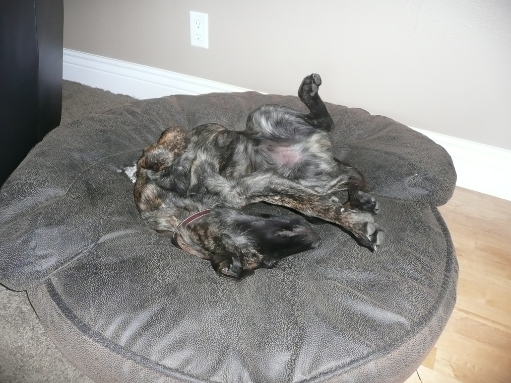Funny sleeper