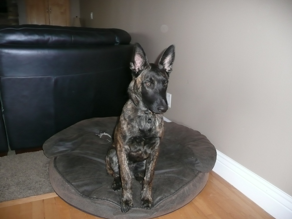 in a long sit on the "blanket"