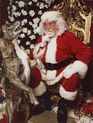 TRACEDOG shows off for Santa...